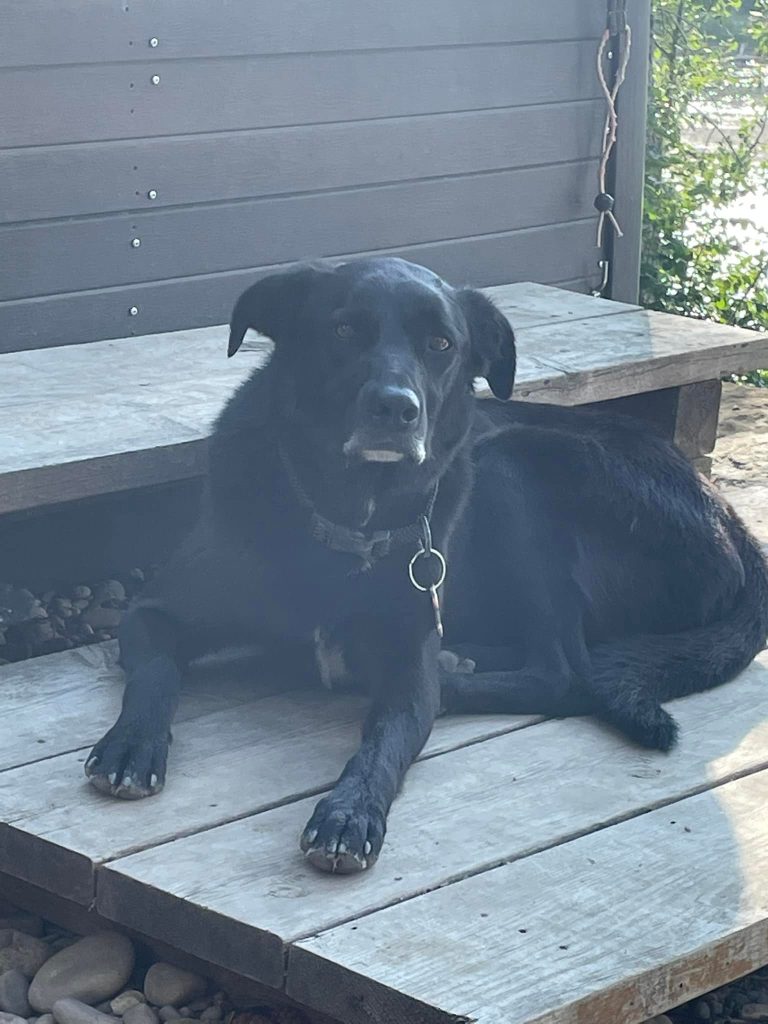 photo of tucker for staff page